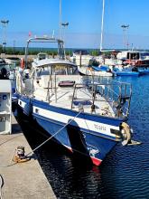 Koper Marina